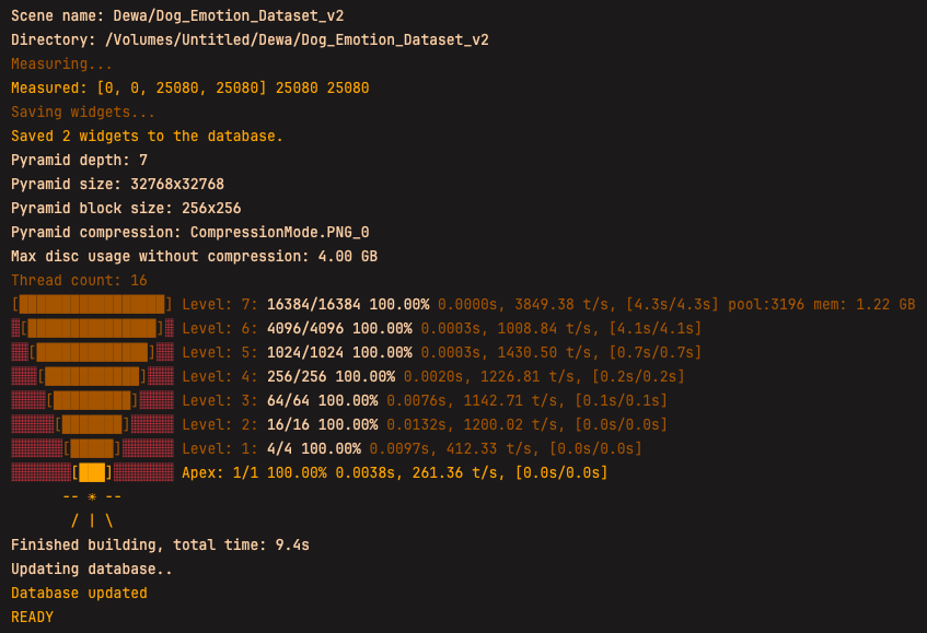Dataset Processing