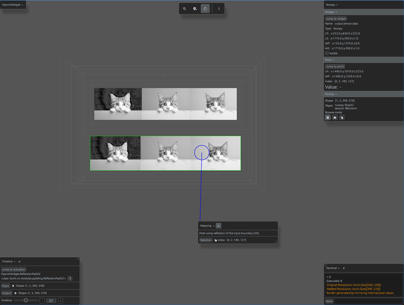 ReflectionPad2d image border visualization